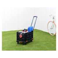 BIGANT フォールディングストロングコンテナ&キャリーセット YBA-C100 1台（直送品）