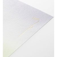 デザインフィル 金封 のし袋 かさねの色目 5枚入 25413006 1冊