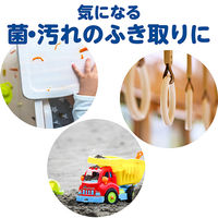 ウェットティッシュ　除菌シート　キレイキレイ99.99%除菌ウェットシート 1箱（30枚入×24個）