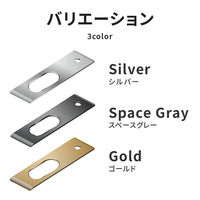 MSソリューションズ Google Pixel 7a カメラ保護アルミカバー スペースグレー LN-23SP1ALLENGY 1個