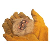 ハック 弓きり式　火起こし器　ＨＡＣ３０２９　1個（直送品）