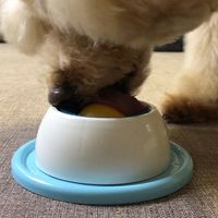 わんこのぺろぺろ味覚玉 1個 ドギーマンハヤシ