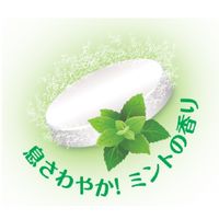 【マウスピース洗浄剤】 Clesh リテーナー・マウスピース洗浄剤 892978 1箱（120錠入）