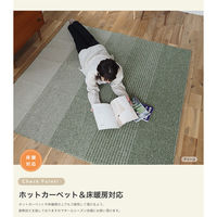 スミノエ 洗えるグラデーションラグ カラーステップ 1800×1800mm グリーン 4549781303109 1枚（直送品）