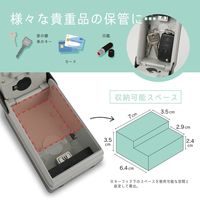 カール事務器 キーボックス(吊り下げタイプLEDライト付き) CKB-S04 1個