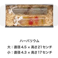 ヘッズ 無地スマートボックス/ダークグレー-11 MSD-GB11 1個(10枚)