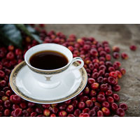 【コーヒー粉】キーコーヒー VPトラジャブレンド 5袋（180g×5）