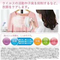 日立 衣類スチーマー CSI-RX70 C 1台