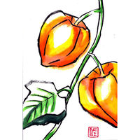 あかしや 筆ペン CA200-02 水彩毛筆「彩」朱色 1セット(5本)