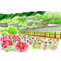 あかしや 筆ペン 水彩毛筆「彩」茜色 CA200-16 1セット(5本)