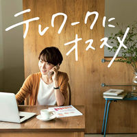 バッファロー 両耳ヘッドバンド式ヘッドセット　ＵＳＢ接続/マイク搭載/ブラック BSHSUH12BK 1台（直送品）