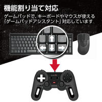 エレコム USBゲームパッド/13ボタン/Xinput/振動/連射/高耐久 JC-U4013SBK