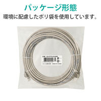 LANケーブル 10m cat5e 爪折れ防止 より線 スリムコネクタ ライトグレー LD-CTT/LG10/RS エレコム 1本