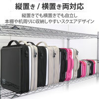 エレコム（ELECOM） CD/DVDファスナーケース セミハード 160枚入 CCD-H160BK 1個