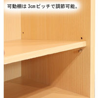 白井産業 ランドキッズ キッズ向けハンガーラック ナチュラル 幅869×奥行293×高さ900mm 1台（直送品）