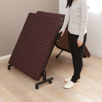 アイリスオーヤマ 折りたたみベッド OTB-BR