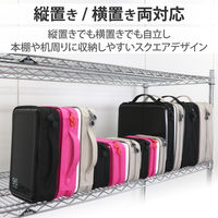 エレコム（ELECOM） CD/DVDファスナーケース セミハード 96枚入 CCD-H96BK 1個（直送品）