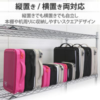 エレコム（ELECOM） CD/DVDファスナーケース セミハード 96枚入 CCD-H96PN 1個