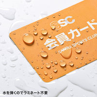 サンワサプライ レーザープリンタ用IDカード LBP-ID01 2セット（直送品）