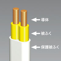 延長コード 電源タップ 10m 2P（ピン） 6個口 ホワイト TAP-TSH610N サンワサプライ 1個
