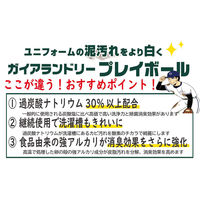 ガイアランドリー プレイボール2kg 泥汚れ専用洗剤 作業着洗剤 粉末洗剤 1個 グリーンテクノ21