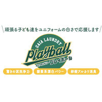 ガイアランドリー プレイボール2kg 泥汚れ専用洗剤 作業着洗剤 粉末洗剤 1箱（3個入） グリーンテクノ21