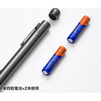 サンワサプライ 照射径可変グリーンレーザーポインター LP-GL1019BK 1個（直送品）