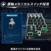 ゲーミングキーボード 有線 着脱式ケーブル RGB メカニカル (銀軸/スピードリニア) TK-VK300SBK エレコム 1個（直送品）