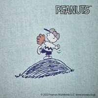 スミノエ PEANUTS セミオーダー カーテン ベストフォーメーション 2800×900mm ブルー １セット(2枚入)（直送品）