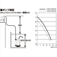 フローバル ブレードホース付マイティポンプ(清水用水中ポンプ PSP-100S) PSP-100S+STB25x30 1セット（直送品）