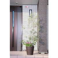 【園芸用品】アップルウェアークラフトポット 35型 ダークブラウン 17L 350mmΦ×340mm 鉢 ガーデニング