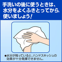 花王 ハンドスキッシュアルコール消毒剤 800ML 004369 5本