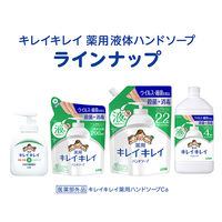 キレイキレイ 薬用液体ハンドソープ 詰替用 800mL 5個 【液体タイプ】 ライオン