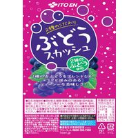 伊藤園 2種のこだわり ぶどうスカッシュ 450ml 1セット（48本）