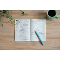 パイロット 油性ボールペン アクロボール Tシリーズ 激細 0.3mm グリーン軸 黒インク BAB-15MFT-GB 1本