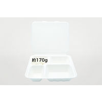 パックスタイル ABランチ 240-210-4 1袋（50枚入）