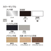 【組立設置込】コクヨ 抗菌・抗ウイルス天板 抗菌・抗ウイルス天板 幅600×奥行600×高さ355mm T75-B21M-MW51 1台（直送品）