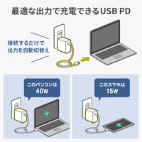サンワサプライ USB PD対応AC充電器(PD100W・TypeCケーブル付き) ACA-PD93BK 1個（直送品）