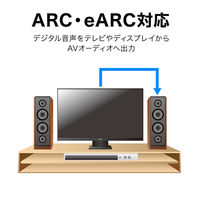 サンワサプライ ウルトラハイスピードHDMIケーブル(ブラック・9m) KM-HD20-U90 1本