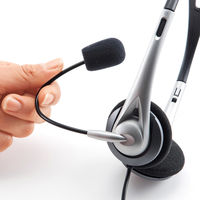 サンワサプライ USBヘッドセット(シルバー) MM-HSUSB16SVN 1個（直送品）