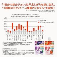【アウトレット】【栄養機能食品】おいしい栄養補給 1日分の鉄分ジュレ アップル＆キャロット 1セット（1個×12） 森永乳業