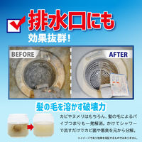 リベルタ カビダッシュ 特濃ストロングジェルR 500ML 886036 1ケース(500ML×24個)（直送品）