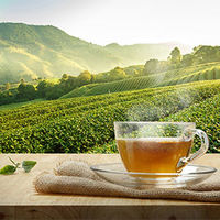 日東紅茶 オーガニック ルイボスティー 1セット（100バッグ：20バッグ入×5）【ノンカフェイン】