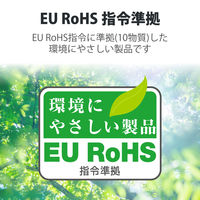 増設メモリ デスクトップ用 DDR4-2666 PC4-21300 16GB DIMM EW2666-16G/RO エレコム 5個（直送品）