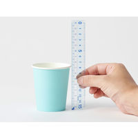 レイメイ藤井 再生PET定規 すべり止め付き 30cm APJ257 5本