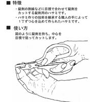 大同化工 錠剤はさみ お薬チョッキン HC-100 5個（直送品）