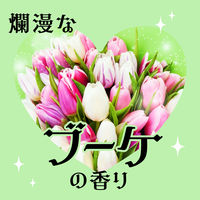 無虫かおりさん 爛漫なブーケの香り ファブリックミスト ダニよけ 除菌 消臭スプレー 400mL 1セット（2個） アース製薬