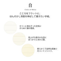 ミドリ レターセット９１４　色を贈る　白 86914006 10冊（直送品）