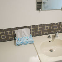 小野商事 ペーパータオル 中判(レギュラーサイズ) 200枚入 WS6480 1セット(30パック)