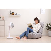 アイリスオーヤマ サーキュレーター扇風機 15cm STF-DC152T-W 1台